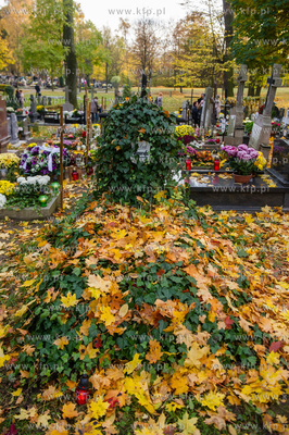 Gdansk. Cmentarz Garnizonowy. Dzien Wszystkich Swietych.
01.11.2015
fot....