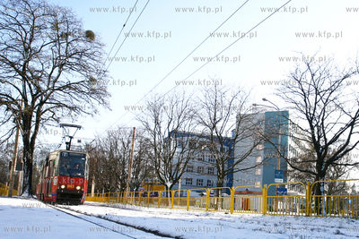 Szczecin - pierwsze opady sniegu.

23.11.2008

Fot....