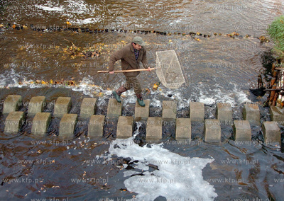 Smoldzino na przeplawce w elektrowni wodnej,  trwa...