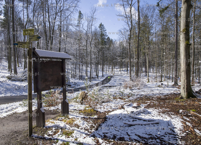 Aktywny przedpołudnie w Trójmiejskim Parku Krajobrazowym....