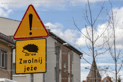 Znaki ostrzegawcze Zwolnij jeże na ulicy Mickiewicza...