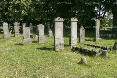 Największy w Polsce, wpisany w 1988 roku do rejestru...