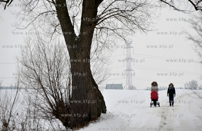Sulmin na Kaszubach. Droga w kierunku Niestepowa. 23.02.2013...