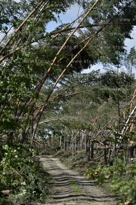 Skutki wichury na Pomorzu. Orlik na Kaszubach w gminie...