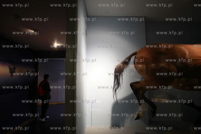 Londyn. Muzeum Historii Naturalnej.
07.10.2011
fot....