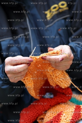 W gdanskim zoo  ustanawiany jest rekord Guinnessa....