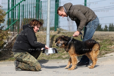 Schronisko dla Bezdomnych Zwierząt "Promyk" w Gdańsku...
