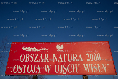 W Mikoszewie, przy ujściu Wisły, pojawił się nowy...