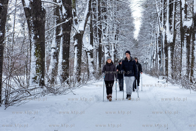 Zima w Gdańsku. 13.01.2026 / fot. Anna Rezulak / KFP