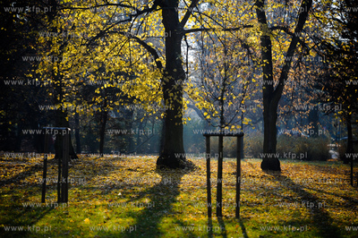 Gdansk. Park Jelitkowski.
06.11.2011
fot. Mateusz...