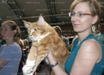 Miedzynarodowa Wystawa Kotor Rasowych w Sopocie.
04.08.2013...