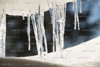 Dobrzewino, wieś na Kaszubach w powiecie wejherowskim....