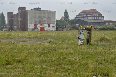 Tereny byłej Stoczni Gdańskiej. 14.07.2011 Fot. Maciej...