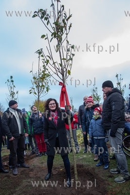 Gdańsk, Park Reagana.  Sadzenie 101 drzew wiśniowych...