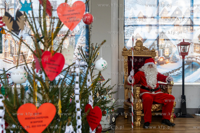 Sopot. Zapalenie światełek na ustrojonych przez dzieci...