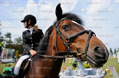 Gdansk. Park im. Ronalda Reagana. Derby Cup 2011, pierwsze...