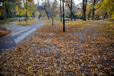Gdansk. Park Jelitkowski.
06.11.2011
fot. Mateusz...