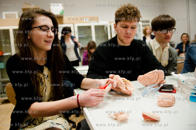 Uniwersytet Gdanski. Wydzial Biologii. Dzien Mozgu...