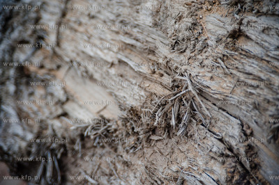 Gdansk. Budowa Osiedla Wolne Miasto Gdansk przy ulicy...