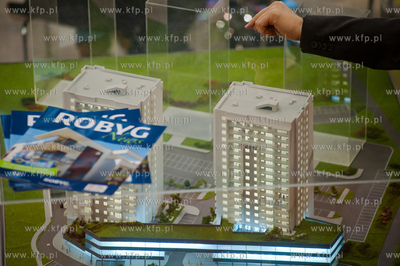 Gdansk. Amber Expo. Targi mieszkan i domow.
02.03.2013
fot....