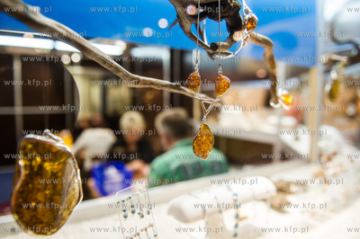 Miedzynarodowe Targi Gdanskie Amber Expo. Amberif -...