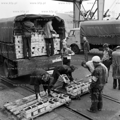 Wyładunek z samochodu kobiałek z owocami przeznaczonymi...