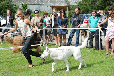 W Zespole Dworsko - Parkowym  w Gdyni Kolibkach odbyla...
