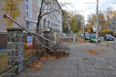 Sopot. Skutki silnego wiatru. 08.11.2015 fot. Jerzy...