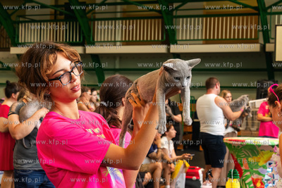 Międzynarodowa wystawa kotów rasowych "Koty na Hawajach"...