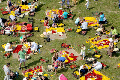 Zulawski Tulipan -  piata edycja imprezy zorganizowanej...