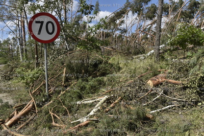 Skutki wichury na Pomorzu. Orlik na Kaszubach w gminie...
