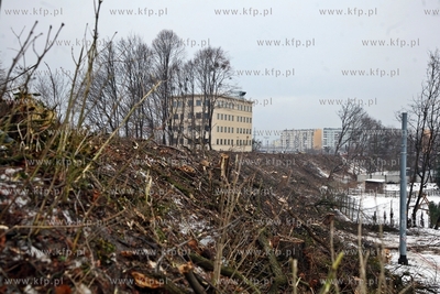 Wycinka drzew pod budowe trasy Pomorskiejpomorks Kolei...