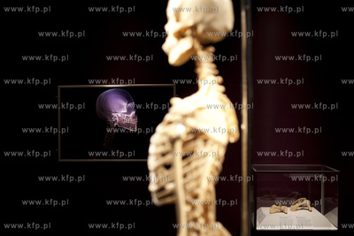 Wystawa o ciele ludzkim Human Body.
30.04.2013
fot....