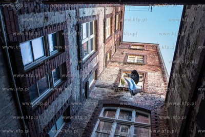 Gdańsk, Dolne Miasto, ul.Ułańska 11. 5.02.2020 /...