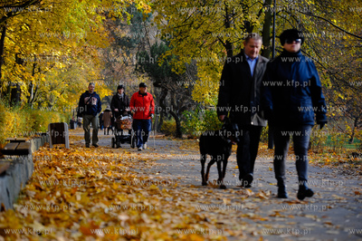 Gdansk. Park Jelitkowski.
06.11.2011
fot. Mateusz...