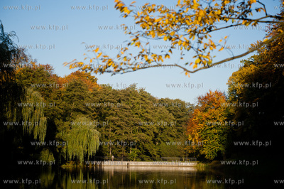 Gdansk. Sloneczne jesienne popoludnie w Parku Orunskim.
17.10.2012
fot....
