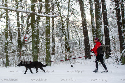 Sniezny zimowy dzien nad jeziorem Otominskim.
21.01.2016
fot....