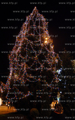 Choinka przy gdynskim magistracie
6.12.2007
Fot....