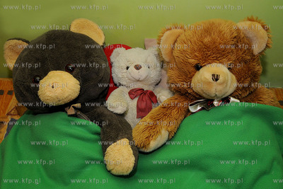 25.11 to  Swiatowy Dzien Pluszowego Misia. 
Historia...