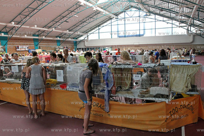 Dwunasta Miedzynarodowa Wystawa Kotow Rasowych Sopot...