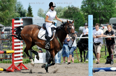 Stadnina koni MORINA w Redzie/Wejherowa. Towarzyskie...