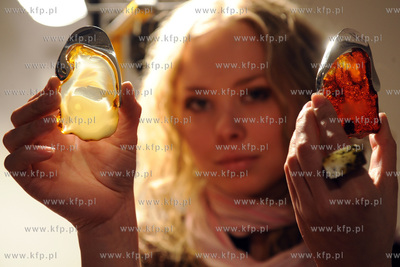 Gdansk, Miedzynarodowe Targi Gdanskie. Targi AMBERIF....