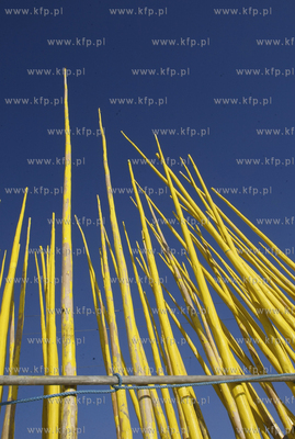 Kuznica. Port rybacki. 14.01.2010 fot. Krzysztof Mystkowski...