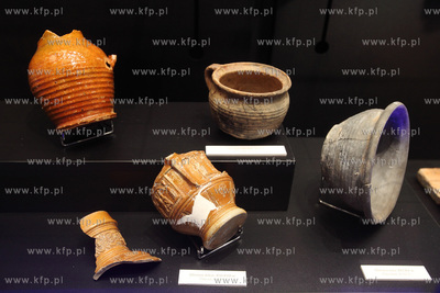 Uroczyste otwarcie Piwnicy Romanskiej z XIIIw., ktora...