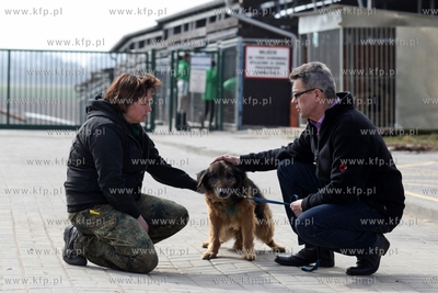 Schronisko dla Bezdomnych Zwierząt "Promyk" w Gdańsku...