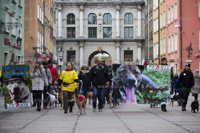 Spacer podopiecznych gdańskiego schroniska Promyk...