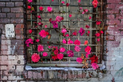 Gdańsk, Stocznia Cesarska. 14.02.2021 / fot. Anna...