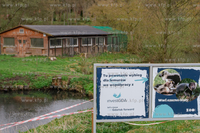 Gdański Ogród Zoologiczny.  Konferencja prasowa dot....