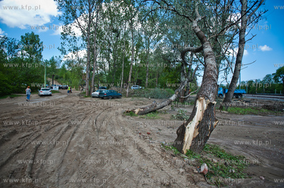 Gdynia Kolibki. Drzewa polamane przez burze.
19.05.2013
fot....