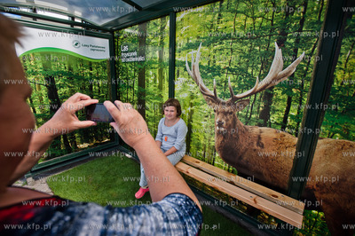 Gdansk. Wiata przystanku autobusowego Dworzec Glowny...